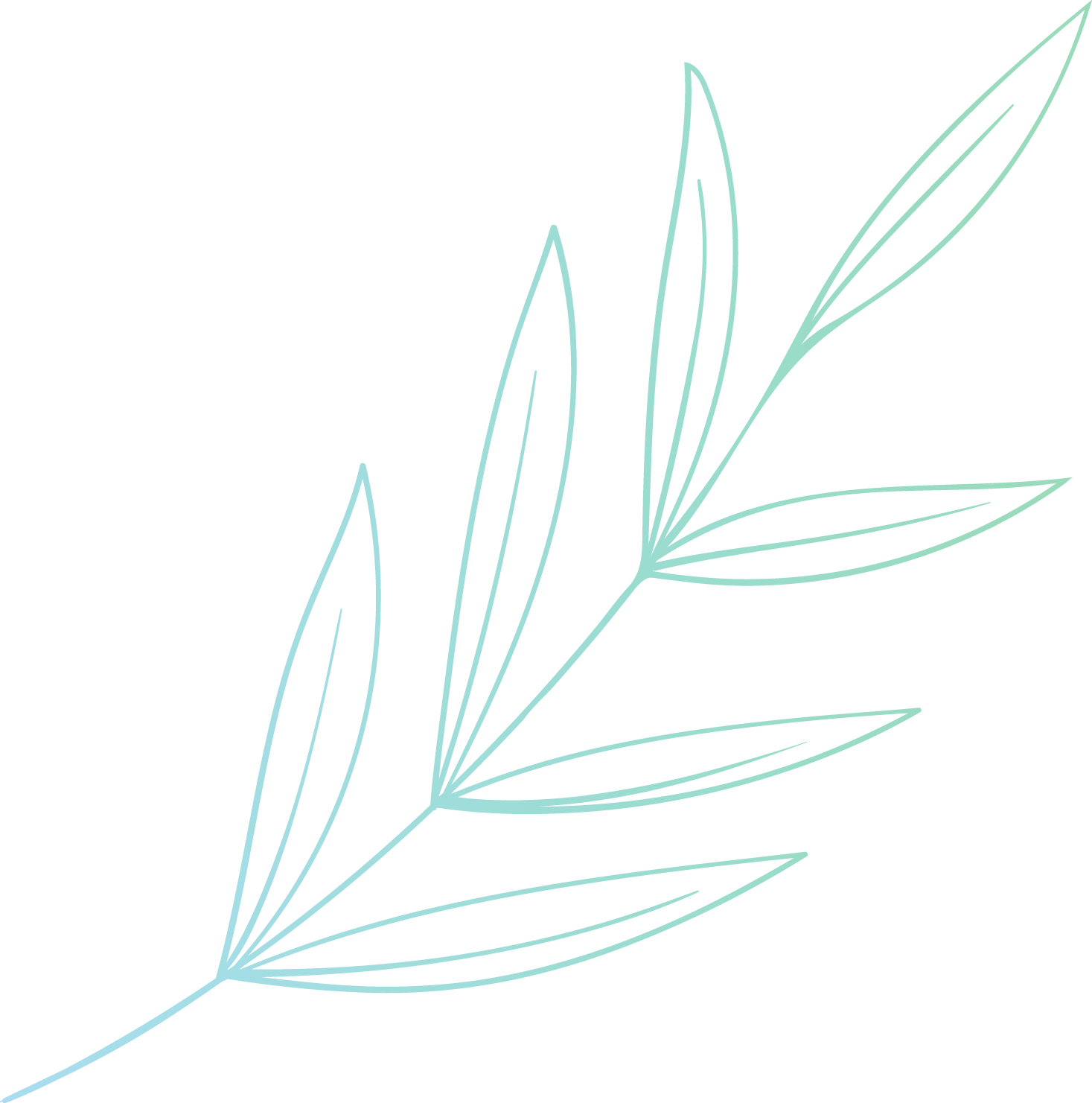 Leaf-1 Leaf-1
